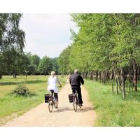 1270_5596 RadfahrerIn bei einer Fahrradtour durch das Naturschutzgebiet Boberger Niederung. | 